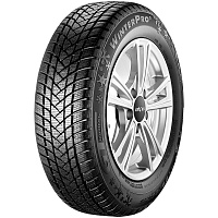 Шины 205/55 R17 GT Radial Champiro Winterpro 2 95H XL