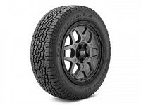 Шины 245/65 R17 BFGoodrich Trail-Terrain T/A GO 111T